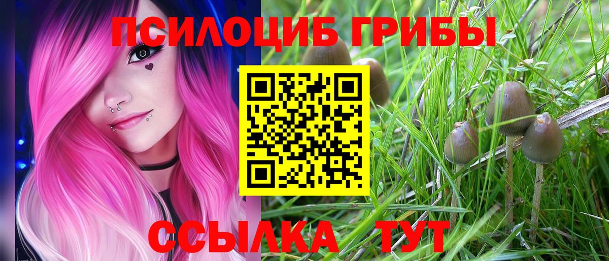 Лысьва  Галлюциногенные грибы Cubensis  купить наркотики сайты  Вход с VPN 