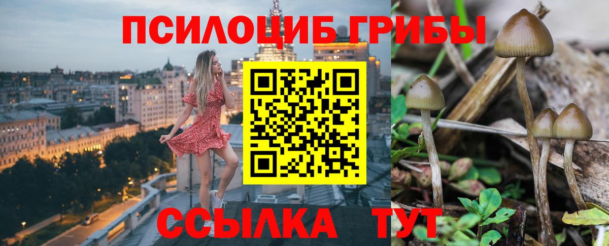 Галлюциногенные грибы мицелий Лысьва